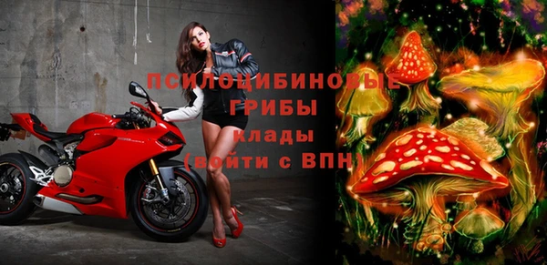 стаф Балахна