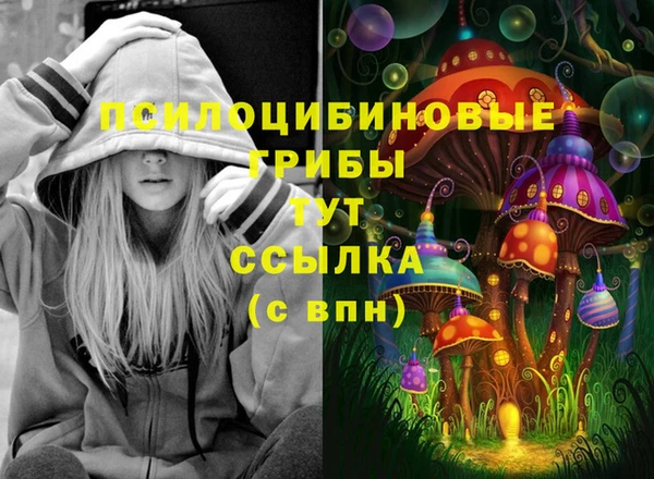 винт Баксан