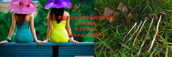 стаф Балахна