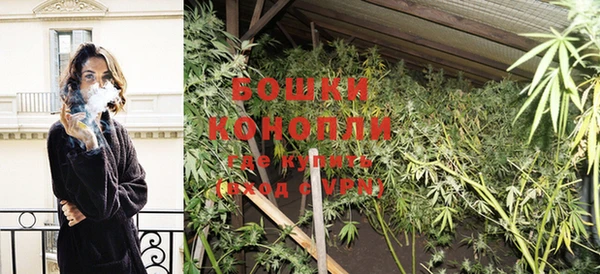 стаф Балахна