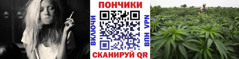 мега ONION  что такое   Лебедянь  Канабис MAZAR 